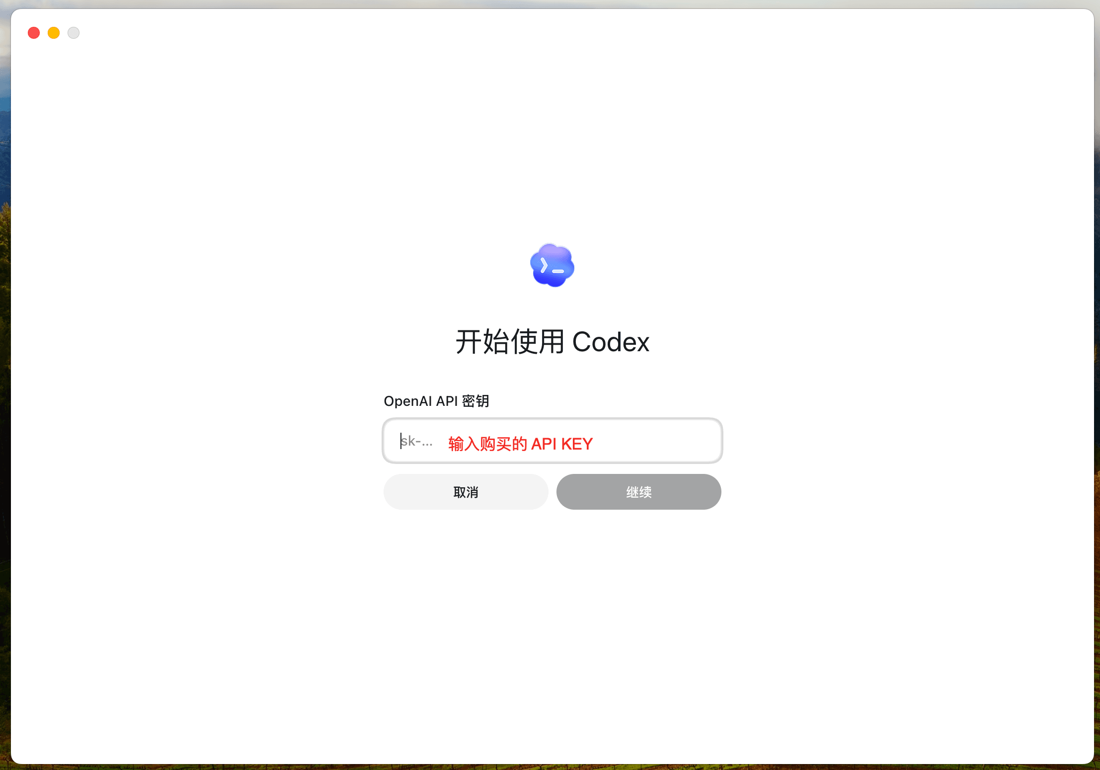 Codex API Key 输入界面