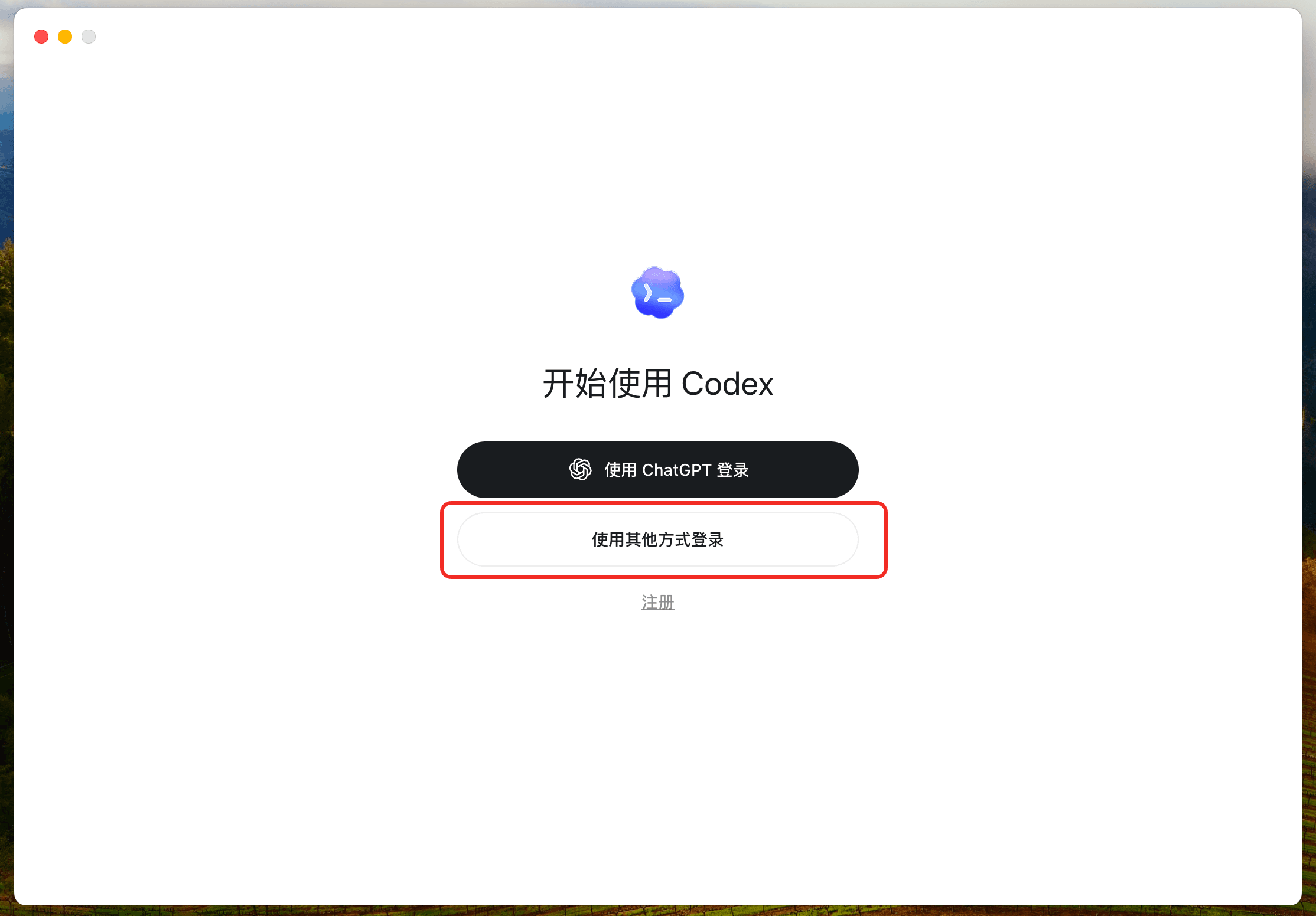 Codex 登录方式选择界面